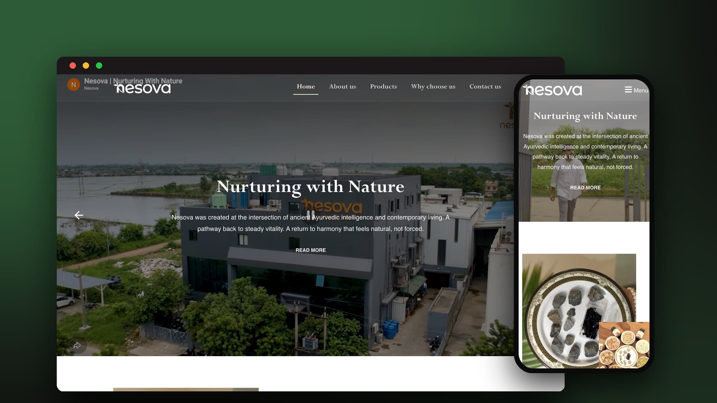 Nesova website by The BrandBerry