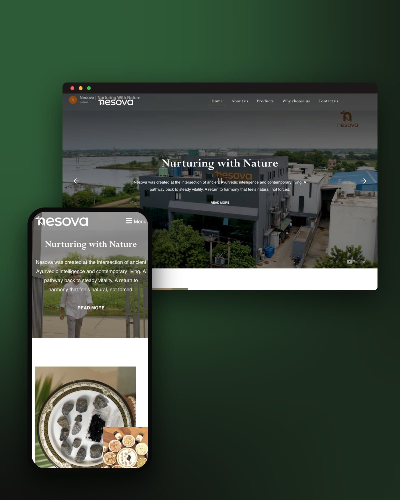 Nesova website presentation