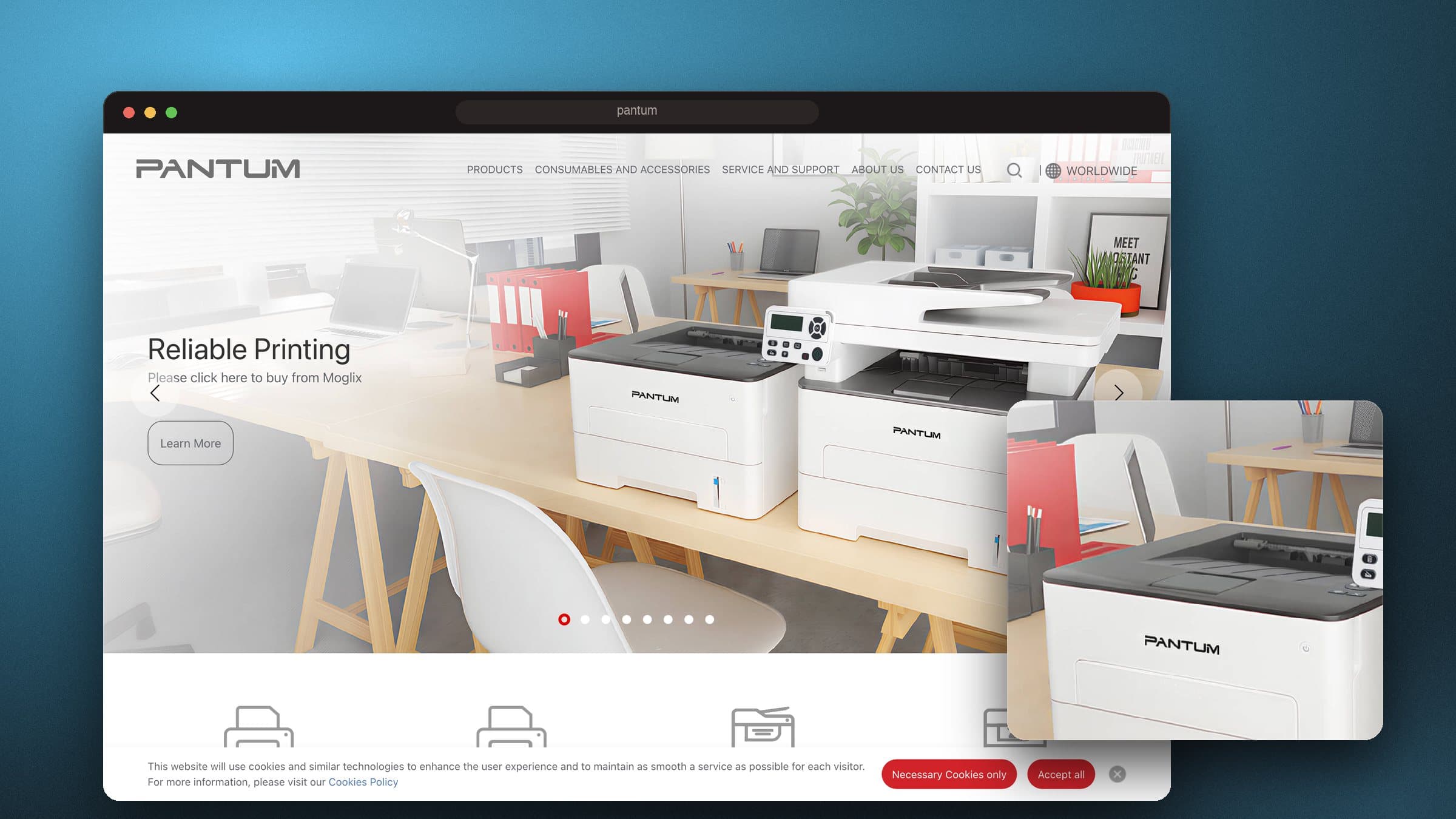 Pantum website by The BrandBerry
