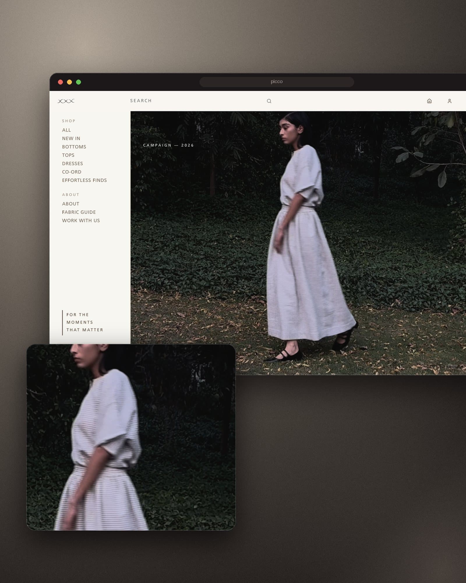 Picco website presentation