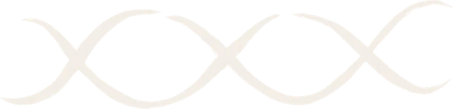 Picco logo
